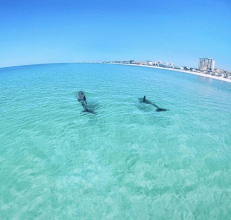 Slt #2043 - Stunning View! Free Beach Service! Destin Buitenkant foto